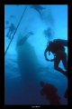 Divers ascending from the Halliburton wreck in Utila