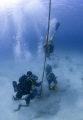 U.S. Navy Divers training with members of the Barbados Coast Guard of the coast of Bridgetown, Barbados.