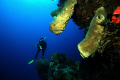 underwater scenery gorontalo