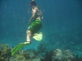 My son Matthew when He saw a shark for the first time.  Boy Scout Camp on deserted Island near Briton Key, Florida  This location was at Loo Key