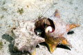 Moving Day - Night photo taken in front of Scuba Club Cozumel