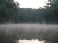 Early Spring Morning on Santa Fe River in High Spring, FL.