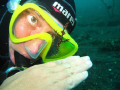 Lembeh strait, North Sulawesi