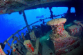 Inside the wreck at Abu Ghusun, south of Marsa Alam. Thank you to Alexia, my very patient model!!