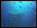 Explosion in front of the Thistlegorm bow