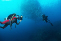 Liberty Wreck - Tulamben, Bali