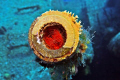 Fire in the Hole!!  Fire Clam inside a gun turret on the M/V Capt Keith Tibbetts.