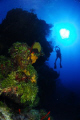 Diver on the wall in Grand Cayman