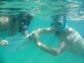 My girlfriend and I got engaged while snorkeling at Hanauma Bay on December 4, 2010!!!