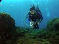 Enjoying the bubbles and warm water from the geothermal activity at Champagne dive site in Dominica