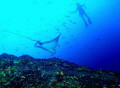 A cruising eagle ray at Cocos Island gets the attention of an inquisitive diver.