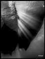 ENLIGHTENMENT - Picture of diving boats taken whilst doing safety stop, sunlight going through between the boats.