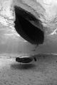 Southern Stingray passing under a dive boat