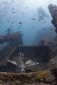 Boonsung wreck, Canon 5dM2 FE 15m, Ikelite Housing, natural light.