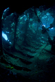 Stairway to heaven !!!
Inside USAT Liberty Glo wreck in Tulamben, Bali
Canon EOS 450D with Tokina ATX 107 @ 17 - 1/10 sec @ f/5.6 ISO 100 - natural light