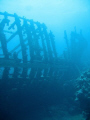 The wooden wreck - Sh'ab Sharm