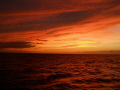 Night Diving - Waiting for dark.  Leeward Coast of O'ahu