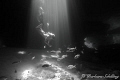 Skin Diver exploring Thunderball Caves