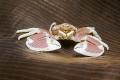 OUTSIDE II
Anemone Porcelain Crab - Neopetrolisthes maculatus (maculata) - Punkttupfen-Anemonenkrebs