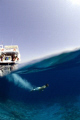 Diving into crystal waters in the Gulf of Aqaba