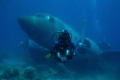 Airplan Wreck, Turkey.