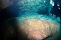 Cancun Cenotes - Dos Ojos caverns.  Shot with Nikon D7000, Ikelite housing, Tokina 10-17 FE, SS200 and SS125 strobes.