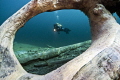 The picture is taken in the lake 'Samaranger See', Austria. The toppled trees are the result of a historical mudslide.