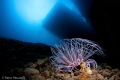 Under the jetty of Laha