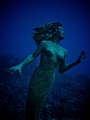 The Mermaid of Sunset Reef