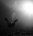 A cold Febuary morning in a cool 2 degrees of water, my dive buddy catching some sunrays.