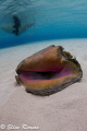 Taken at Stingray Sandbar in the early morning hours. Tok 10-17; Canon T2i; natural light.