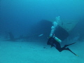 The wreck of the Hilma Hooker- Bonaire