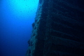 Zenobia Wreck