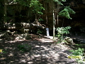 The cenote (sinkhole/collapsed water cave) in this picture is an hour's drive from Progreso, Yucatan, Mexico. In the back recesses behind the Maya shaman blessing our swim is a stalactite cluster (not visible) formed over the last 300,000 years.