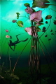 Underwater lily ballroom @ Cenote Car Wash (Aktun Ha)