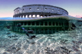 sharks and divers visiting the Colosseum!