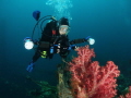 Underwater Photographer, Truk Lagoon