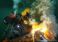 Commercial Diver burning