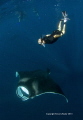 Free diver with Manta Ray, Isla Mujeres Mexico