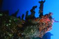 Bow of the Jane C., Aruba. Nikonos V, 20mm lens, Ikelite substrobe 100a.