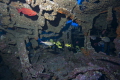 fishes in a wreck near st Gilles