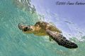 Big Island Of Hawaii
12-24mm 
shallow water