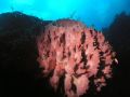 one of many big sponges on Roatan...