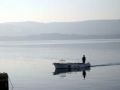 Fisherman pulling into port