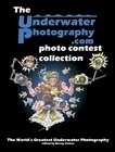 The UnderwaterPhotography.com photo course collection