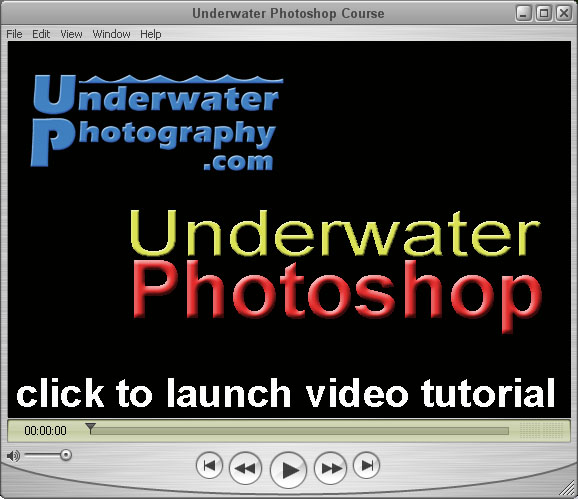 click to learn how to load and run the Photoshop action that removes backscatter from your u/w images.