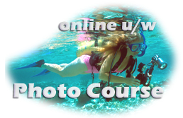 u/w photo course